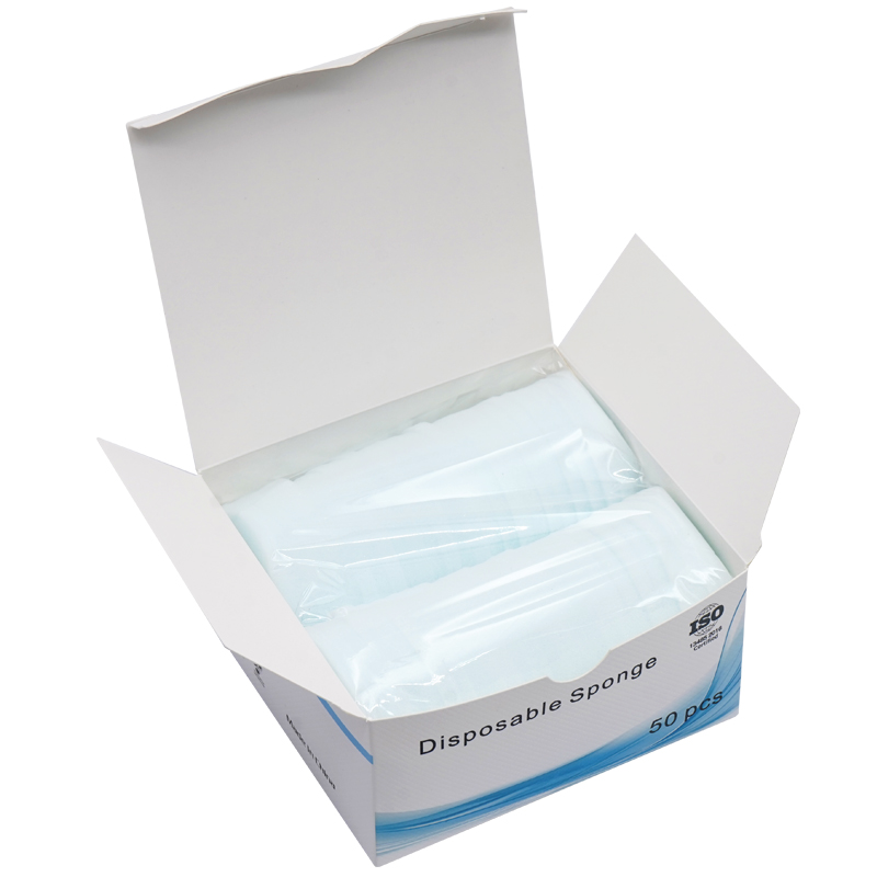 50 pezzi di spugne di ricambio - Eco Sponge recensione e prezzo