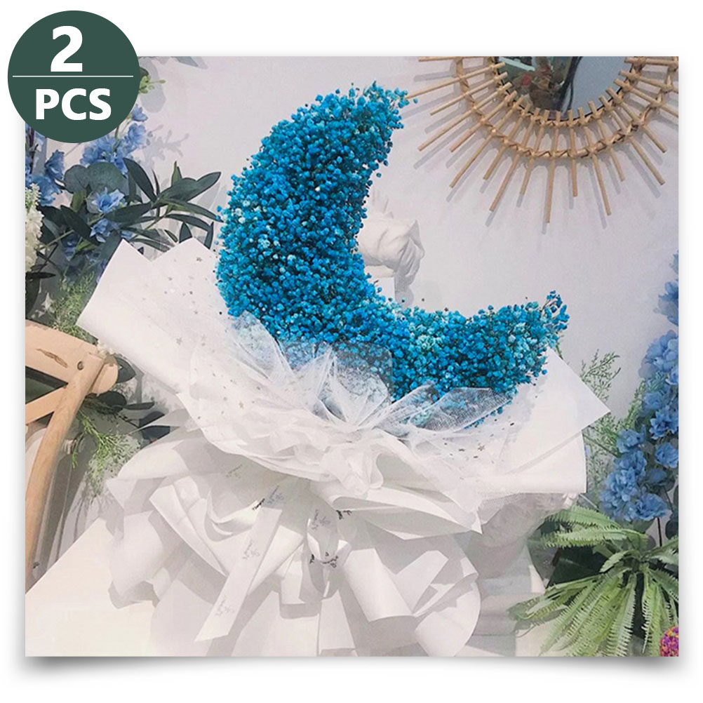 2 pezzi di mattoncini in spugn - Eco Sponge recensione e prezzo