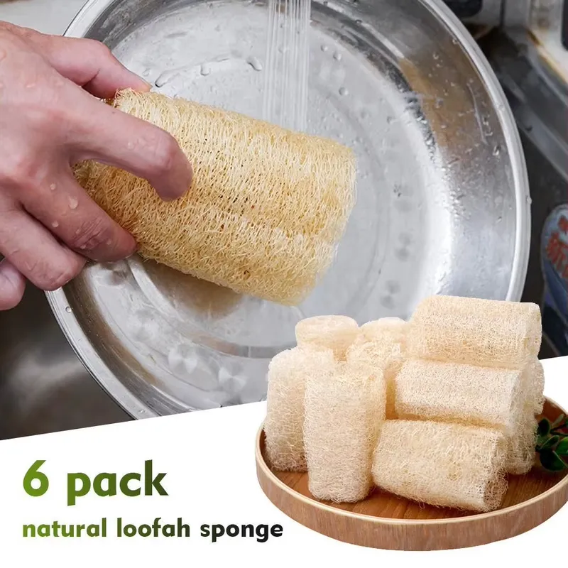 Spazzola per Piatti in Luffa N - Eco Sponge recensione e prezzo