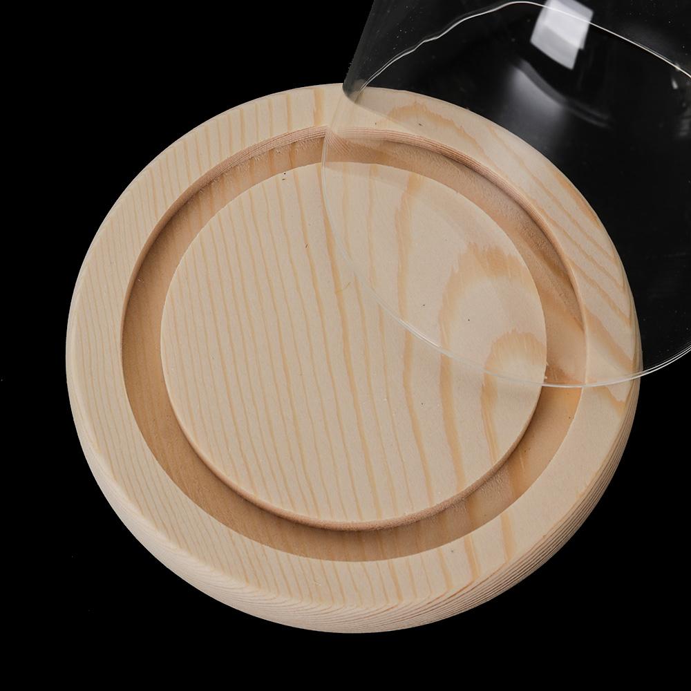 Luci decorative per la casa, t - Reusable Bottle recensione e prezzo