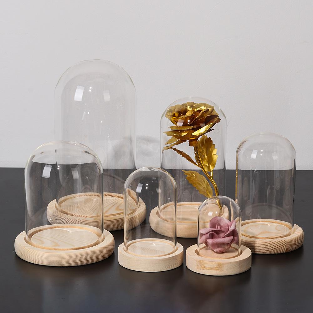 Luci decorative per la casa, t - Reusable Bottle recensione e prezzo